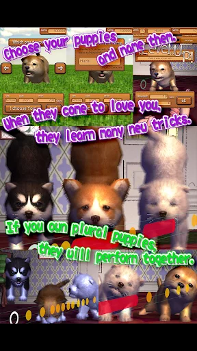 Download Animal Dance Puppies Terbaru – Game Irama Anjing Lucu - Screenshot 12