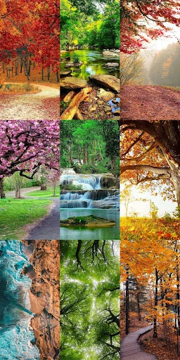 Download Nature Escape HD Wallpapers – Background Alam Gratis - Screenshot 6