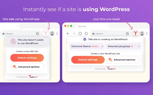 Download TasteWP Terbaru – Buat Instance WordPress Gratis - Screenshot 2